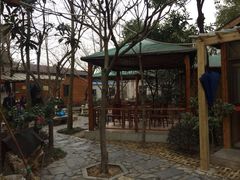 iphone_upload_pic-四季园农家乐