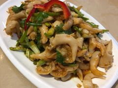 温拌鸟贝-北方饺子王·海肠捞饭·海鲜锅(山大店)