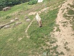-无锡动物园·太湖欢乐园