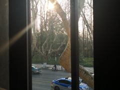 -也枫·小黄楼(南山路旗舰店)