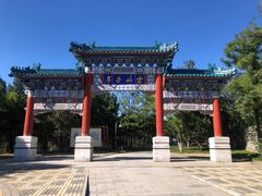 -云岗森林公园