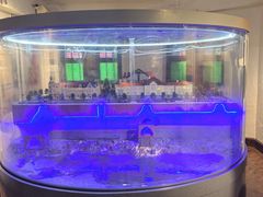 -青岛德国总督楼旧址博物馆