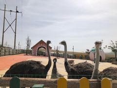 -白鹿原影视城
