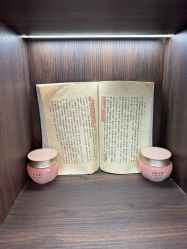 -戴春林
