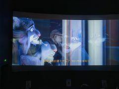 -CGV影城(滨江天街IMAX店)
