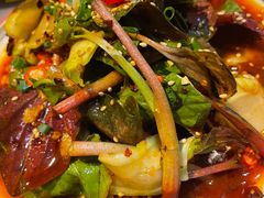 -红辣椒·川菜·火锅(张杨路店)