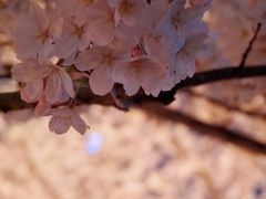 -西北湖绿化广场