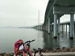-深圳湾公园(南山区)