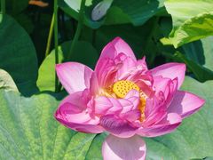 -苏州河梦清园环保主题公园