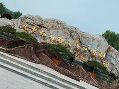 -北京西山国家森林公园