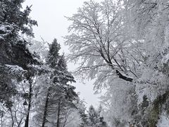 -嘉陵江源头景区