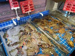 -赶海儿海鲜镖局·平价海鲜小馆(金沙滩店)