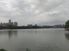 -顺峰山公园