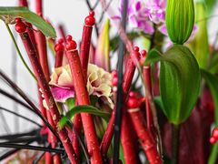 -荷兰布尔玛国际花艺学院