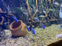 -华夏文旅海洋公园