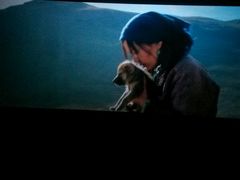 android_upload_pic-横店电影城(李沧店)