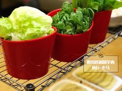 -阳坊胜利涮羊肉(阳坊老店)