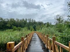 -溱湖国家湿地公园