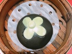 -台山颐和温泉城