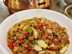 仔姜炒鸡-张氏父子常德肠子馆(红星总店)