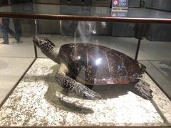 -中国沉香文化博物馆