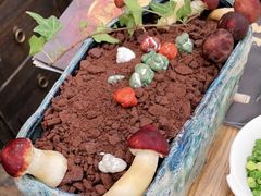 沃野双菌-小龙翻大江文化火锅(宽窄店)
