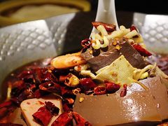 精品毛血旺-乾园(天河城店)