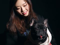 -超宠爱宠物摄影-Super pet
