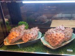 -麓湖国际水疗