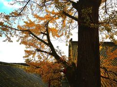 -金堂县云顶石城风景区