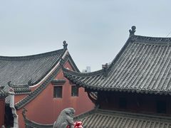 -武汉长春观