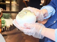 -肆月河豚·淮扬菜·湘菜(华天店)