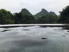 -英德宝晶宫天鹅湖茶语温泉