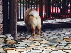 -看见远方·莫干遥远的山民宿