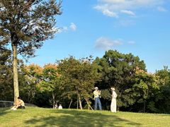 -上海吴淞炮台湾国家湿地公园