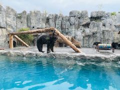 -上海野生动物园