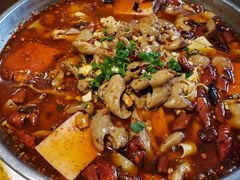 -杨肥肠火锅大排档(火车站花园店)
