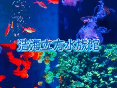 -成都浩海立方海洋公园