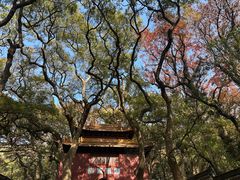 -普陀山风景名胜区-法雨禅寺
