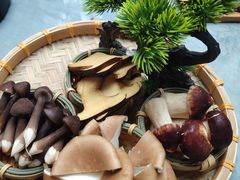 -慢丽江·云南野生菌土鸡锅(付家庄店)
