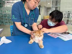 -瑞派申生动物医院·24H夜诊·国际动物医疗中心·骨外科(吴中路店)
