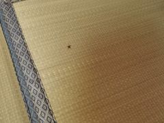 -北京古北水镇御舍温泉酒店