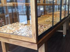 -窑滚面包专门店(马鞍山金鹰店)
