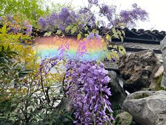 -惠山古镇·寄畅园