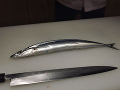 北海道秋刀鱼-紫· 割烹  Kappo Murasaki