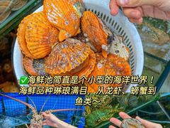 -三亚亚特兰蒂斯度假区