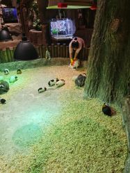 -宝燕乐园(闵行旗舰店)