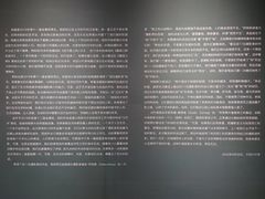-四川美术馆