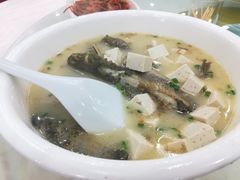 昂刺鱼豆腐汤-状元楼(金溪路店)