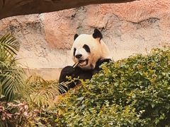 -石排湾郊野公园